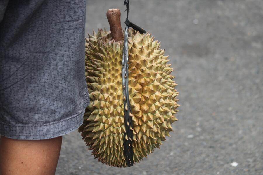 durian smak