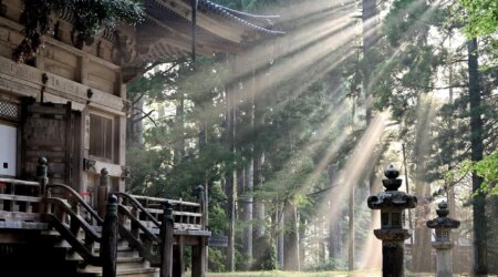 Japońska świątynia w lesie, z promieniami słońca przenikającymi przez drzewa i kamiennymi latarniami na pierwszym planie