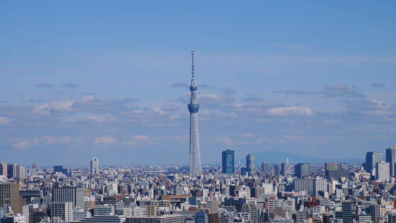 Tokyo Skytree na tle panoramy miasta