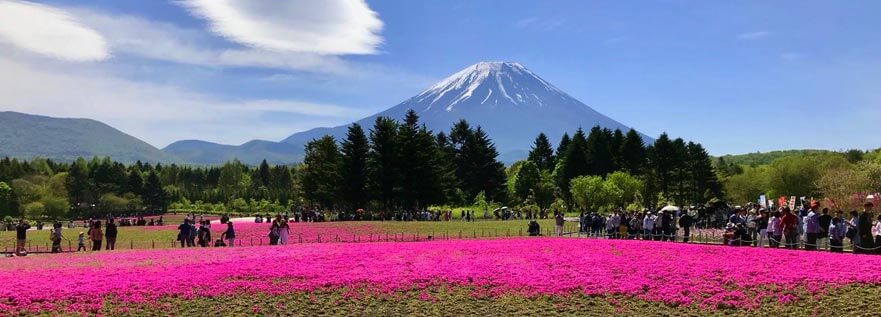 Widok na Fuji