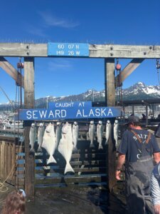 Złowione ryby zawieszone na stojaku z napisem "Caught at Seward Alaska", w tle port i ośnieżone góry